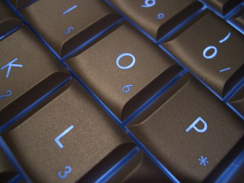 CIS Warps Accuracy of Costly and Error-Ridden E-Verify