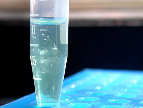Big Brother DOJ Rule Expands DNA Collection to Immigrants