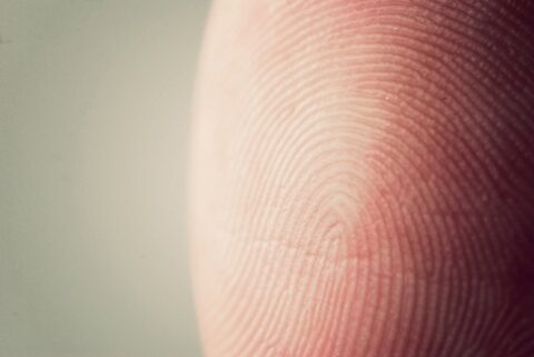 Secure Communities and 287g: A Tale of Two Counties
