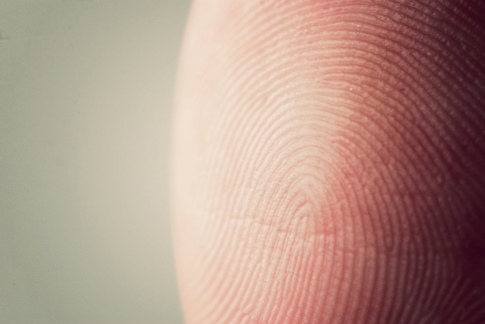 Secure Communities and 287g: A Tale of Two Counties