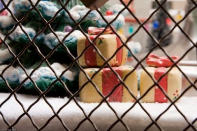 How Some Houston Charities Stole Christmas…Almost
