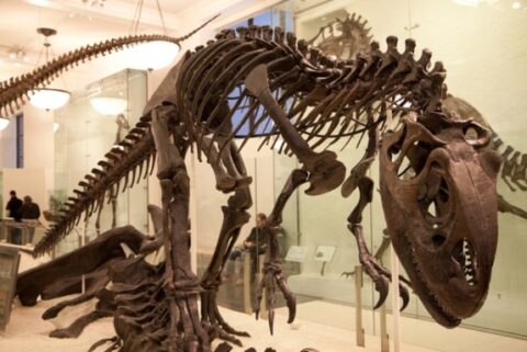 New Census Data Suggest Nativists May Be Headed for Extinction