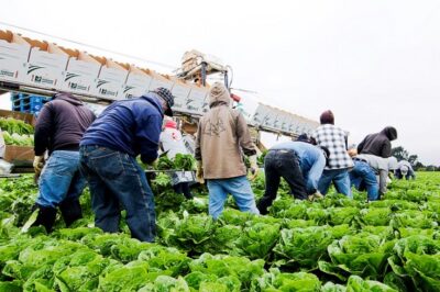 New Report Underscores Economic Folly of S.B. 1070-Type Laws in California