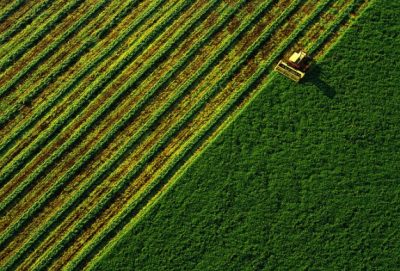 Farming Industry Urges State Lawmakers to Kill Costly Immigration Measures