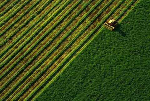 Farming Industry Urges State Lawmakers to Kill Costly Immigration Measures