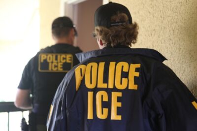 ICE Clears Itself of Misconduct in Internal Investigation, Draws Ire from Immigrant Rights Groups