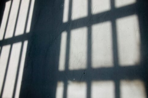 U.S. Sentencing Commission Data Reveals Dysfunction of U.S. Immigration System