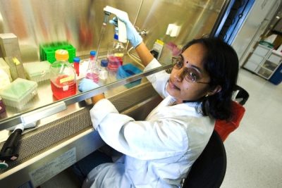 Report Debunks Myth that High-Skilled Immigrants Steal American Jobs