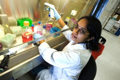 Report Debunks Myth that High-Skilled Immigrants Steal American Jobs