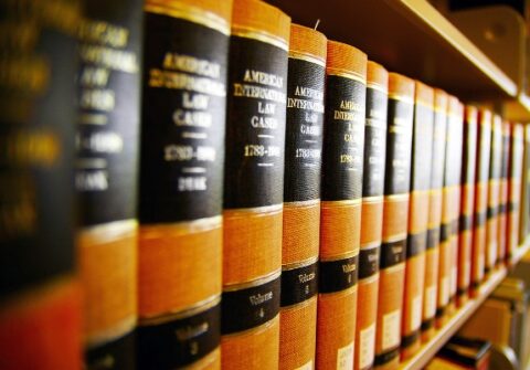 Does the Punishment Fit the Crime? Experts Examine “Proportionality” and “Discretion” in Our Immigration System