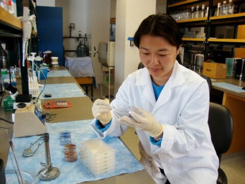 New Brookings Report Examines Demand for H-1B High Skilled Worker Visas