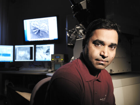 How Immigration Is Good for Science Research in U.S.