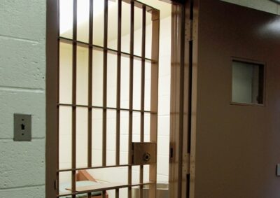 Nativist Report Mischaracterizes and Over Dramatizes ICE Releases