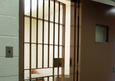 Nativist Report Mischaracterizes and Over Dramatizes ICE Releases