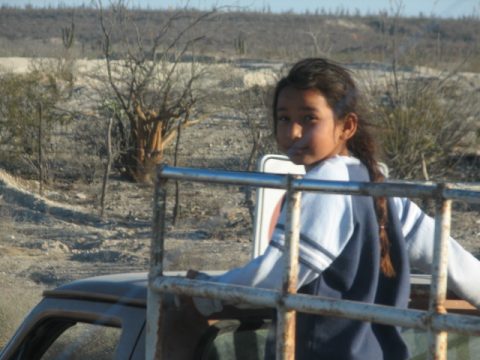 Sealed UNHCR Report Warns of Poor Protections for Unaccompanied Mexican Children