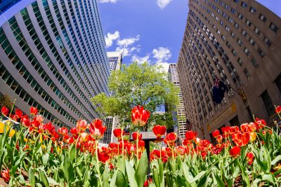 Cities and Regions Explore Ways to Maximize Migration’s Local Dividends