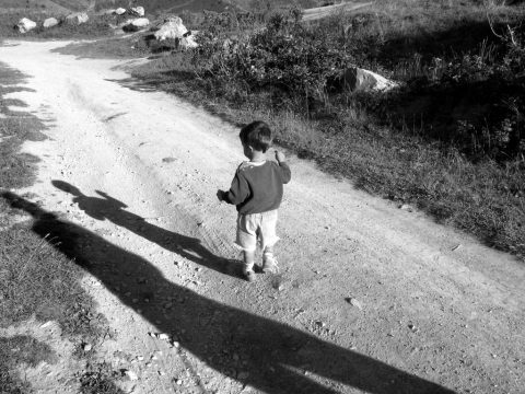 How Can a Three Year Old Represent Himself in Court?