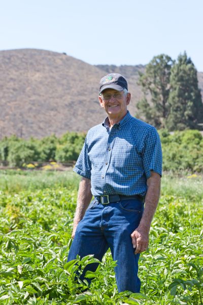Fourth-Generation Farmer Says Labor Shortages have led to Crop Loss