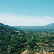 The Contributions of New Americans in California