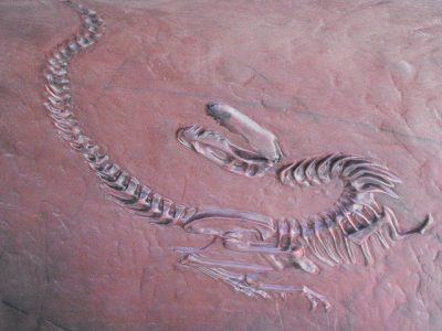 The Fossilization of Donald Trump’s Views on Immigration Complete