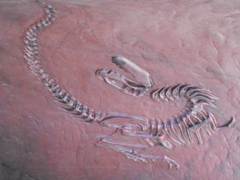 The Fossilization of Donald Trump’s Views on Immigration Complete
