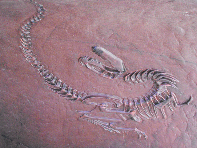 The Fossilization of Donald Trump’s Views on Immigration Complete