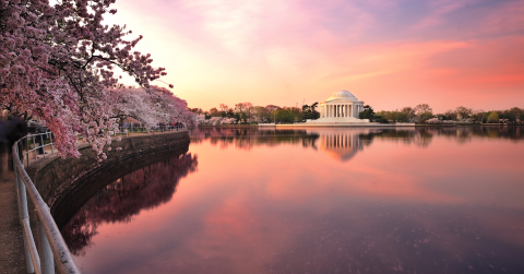 The Contributions of New Americans in Washington, D.C.