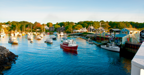 The Contributions of New Americans in Maine