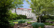 The Contributions of New Americans in Tennessee