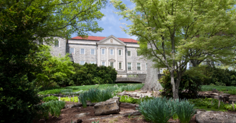 The Contributions of New Americans in Tennessee