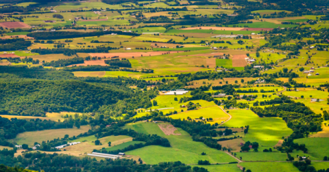 The Contributions of New Americans in Virginia