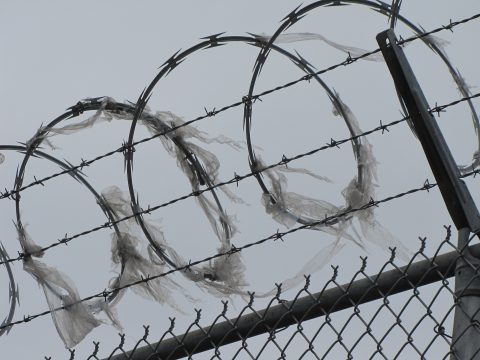Guilty Until Proven Innocent in Immigration Detention