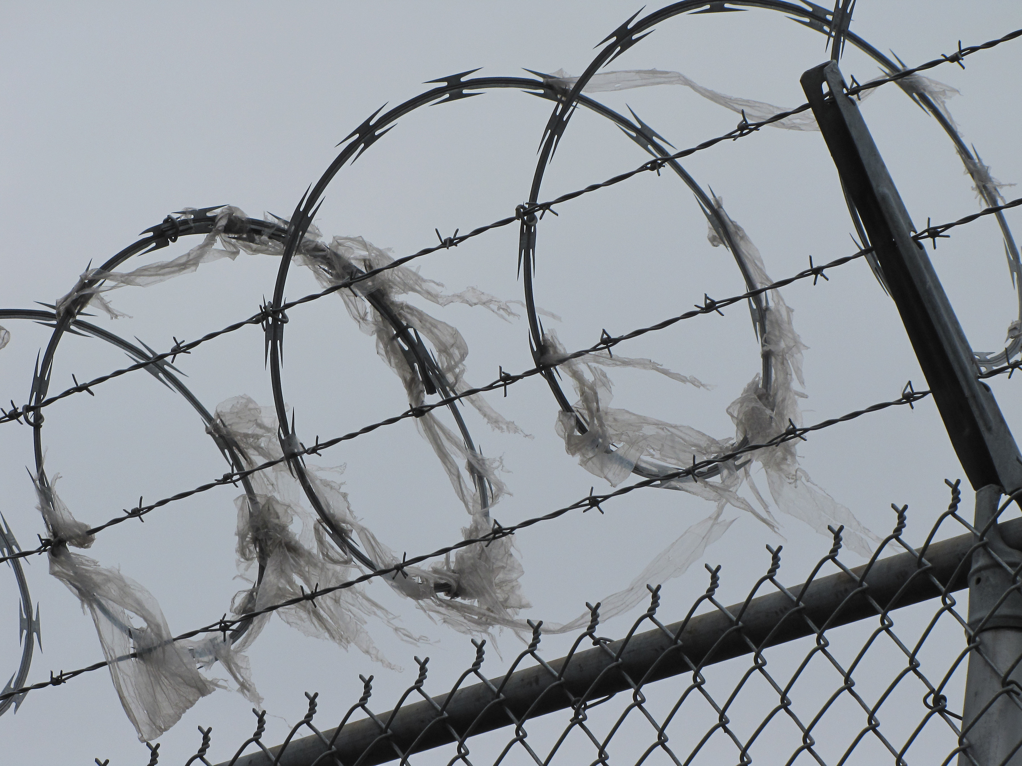 DHS Watchdog Recommends Immediate Action to Address Horrific Conditions in ICE Detention