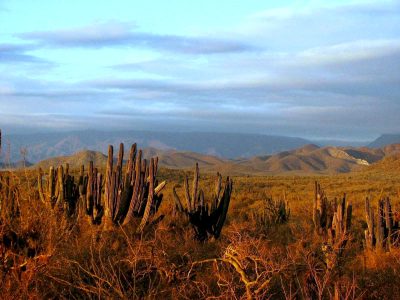 Immigrants Are Now Five Times More Likely to Die Crossing the Border