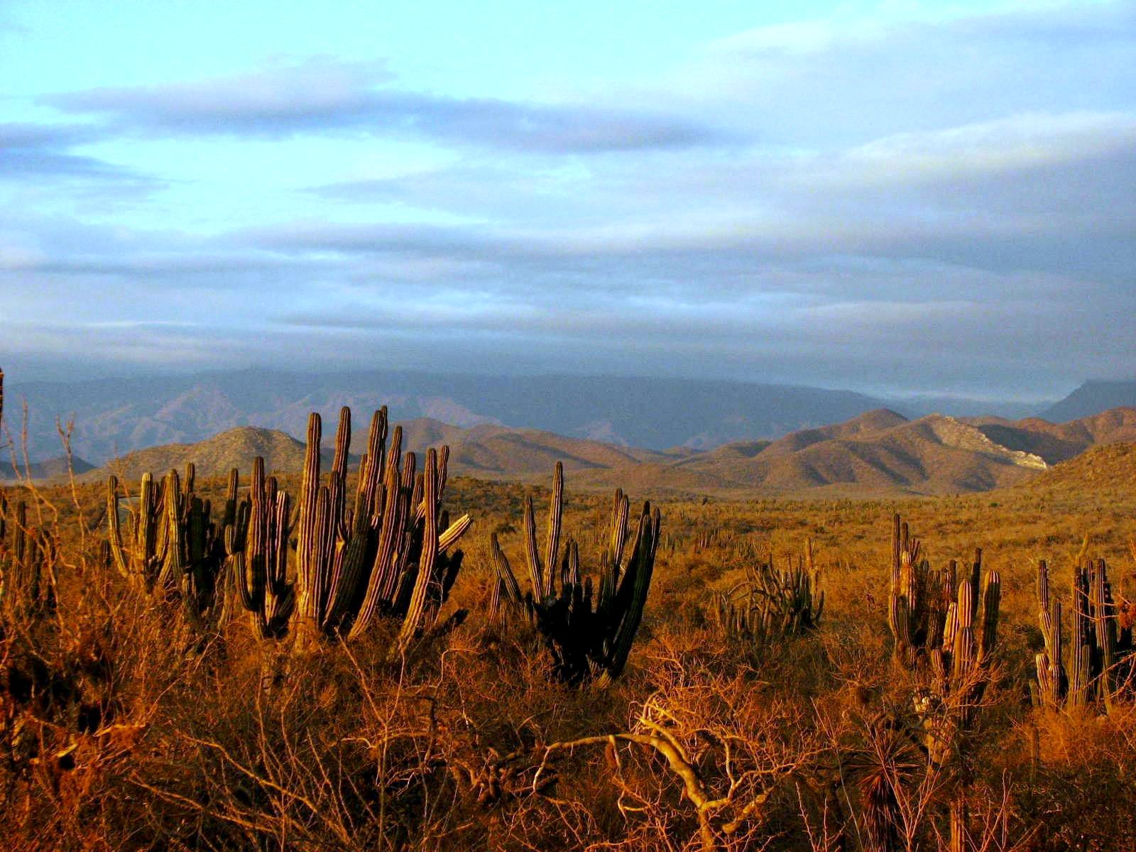 Immigrants Are Now Five Times More Likely to Die Crossing the Border