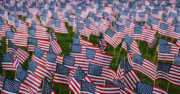 Outside the Wire: How Barring the DACA-Eligible Population from Enlisting Weakens our Military