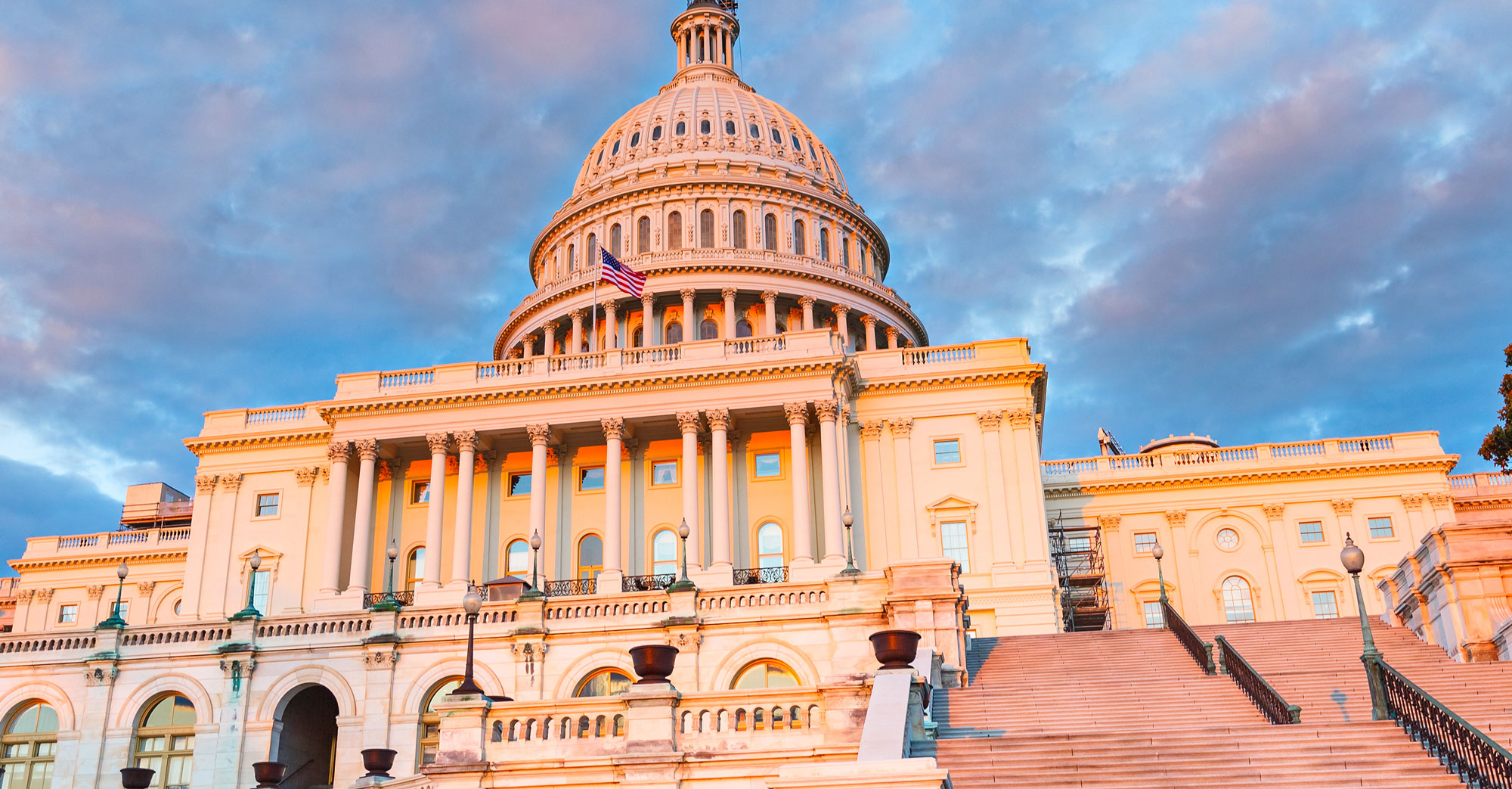 2020 End Of Year Report