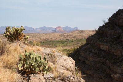 The Border Patrol Is Undercounting How Many People Perish While Crossing the Border