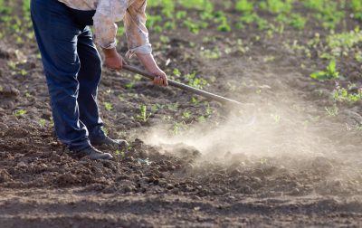 Immigration Raid in Nebraska Devastates Local Agriculture Industry and Families