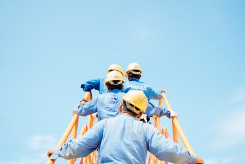 New Census Data Show Immigrants Complement Natives in the US Workforce