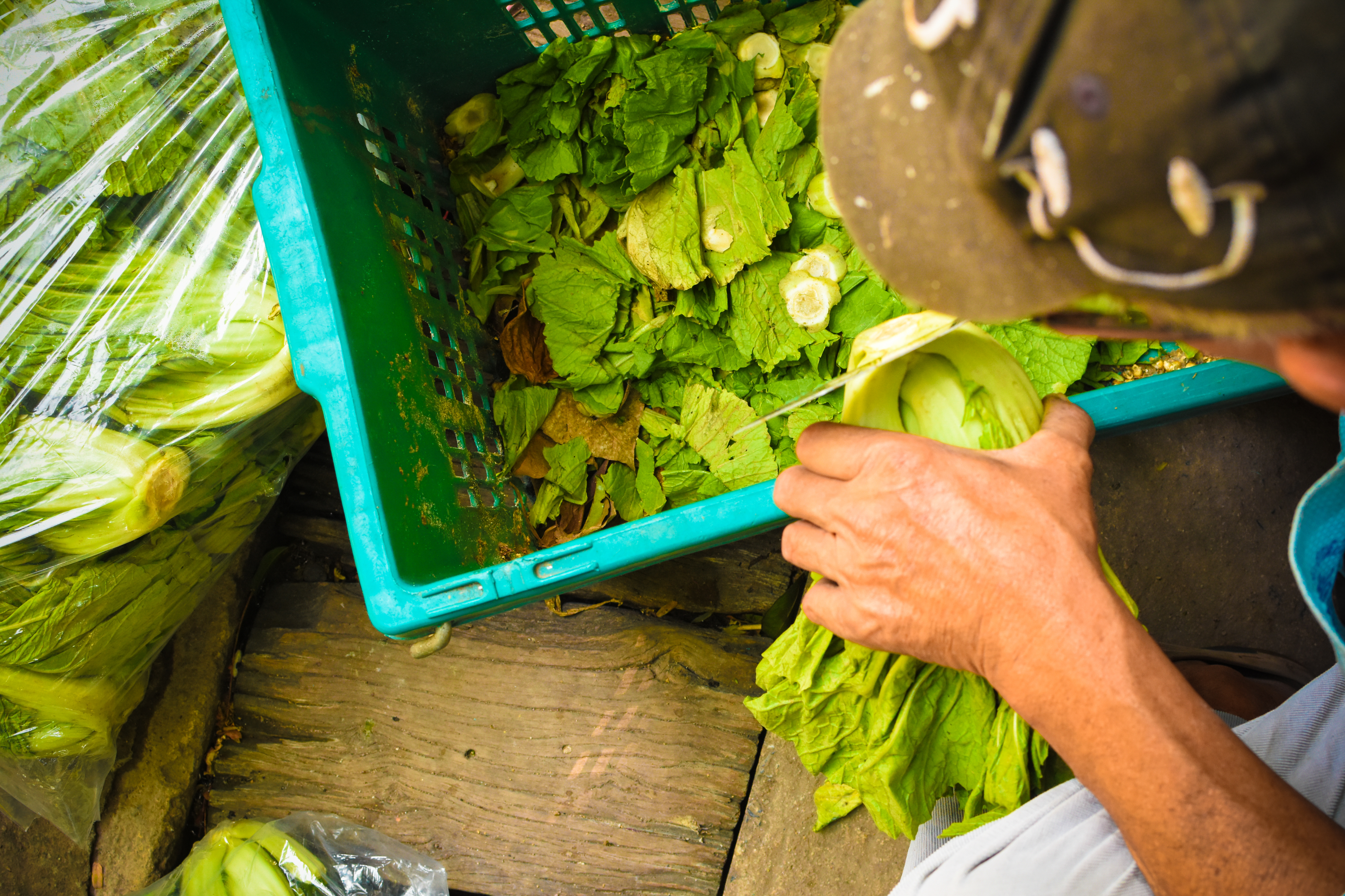 Sick From Eating That Salad? Blame Trump’s Immigration Policies