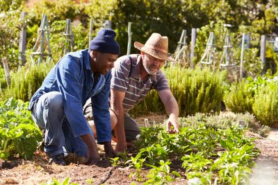 How Rural Communities Are Embracing Immigrants and Thriving as a Result
