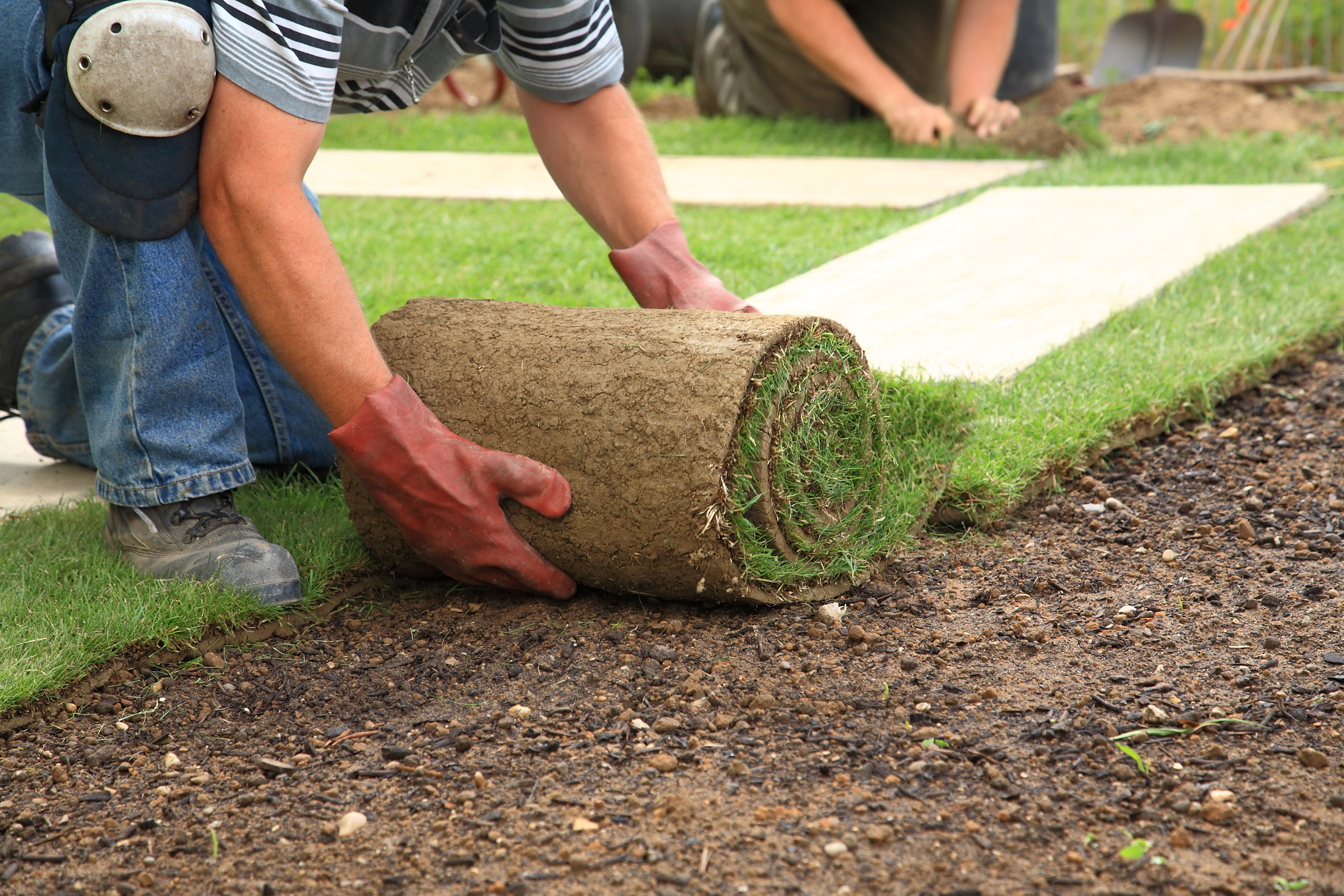 30,000 More Seasonal Worker Visas to Become Available After a Bipartisan Push