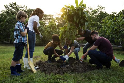 Working Together Towards Shared Goals Can Help Heal America’s Deepest Divides