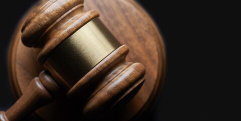 What Happens to Dreamers Now That the Supreme Court Is Hearing the DACA Case?