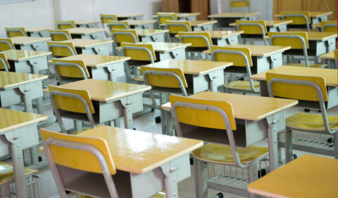 Foreign Student Visa Issuance Is Down Over 40 Percent