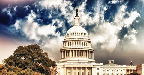 2020 Mid-Year Report