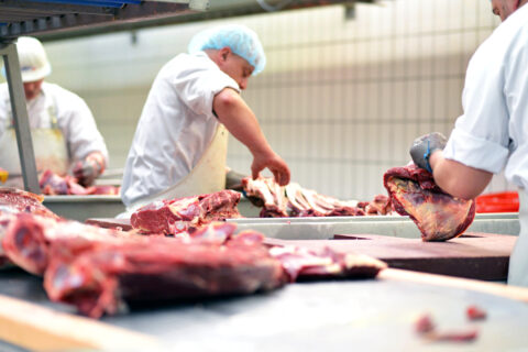 As Coronavirus Fatalities Rise, Trump Sends Immigrant Meatpackers Back to Work