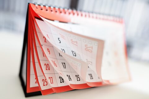 USCIS Wastes Time and Money With Increased Vetting in Citizenship Processing