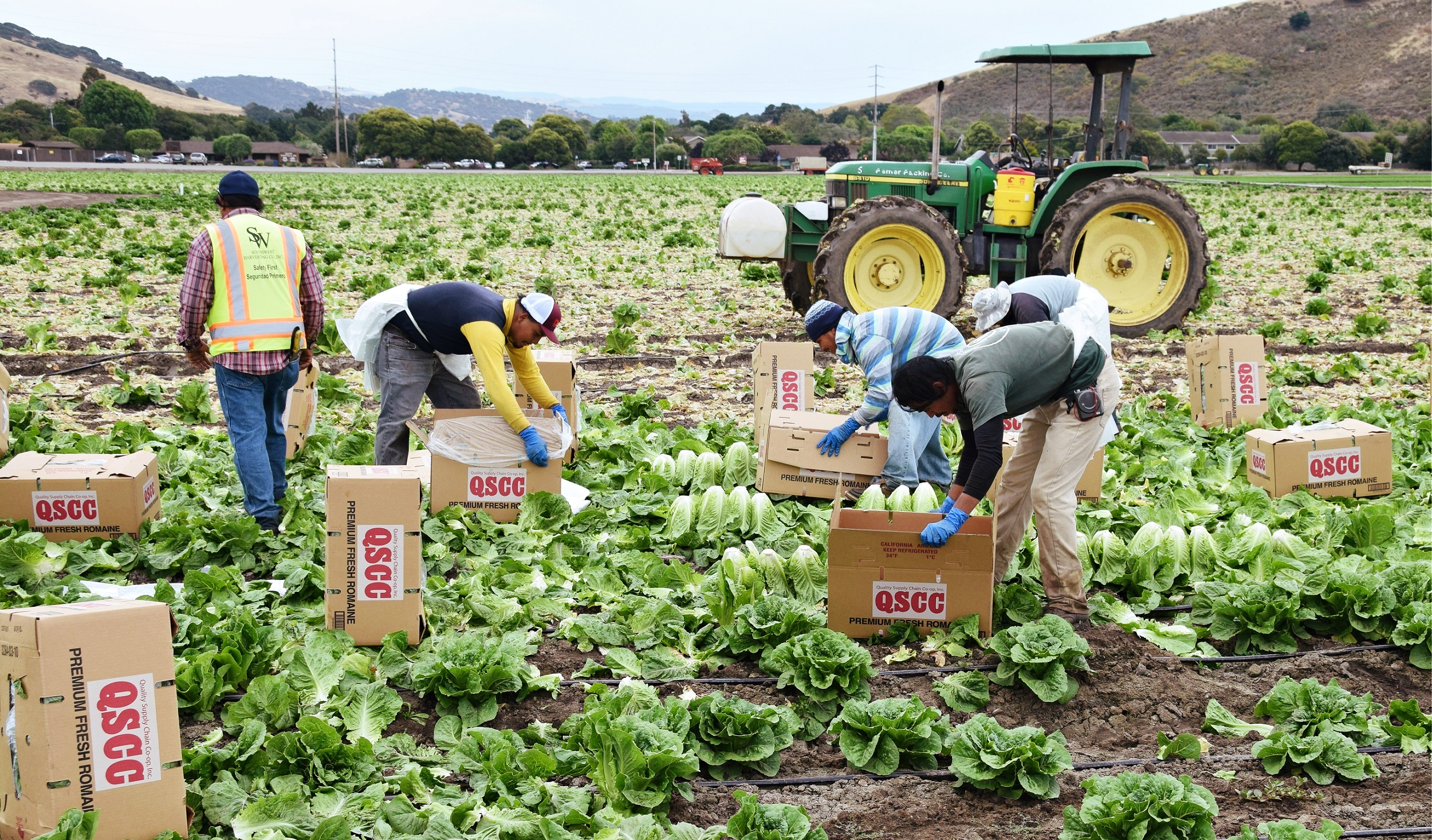Farmworkers Need Better Support to Survive COVID-19